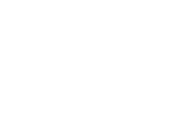 V4 wood flooring